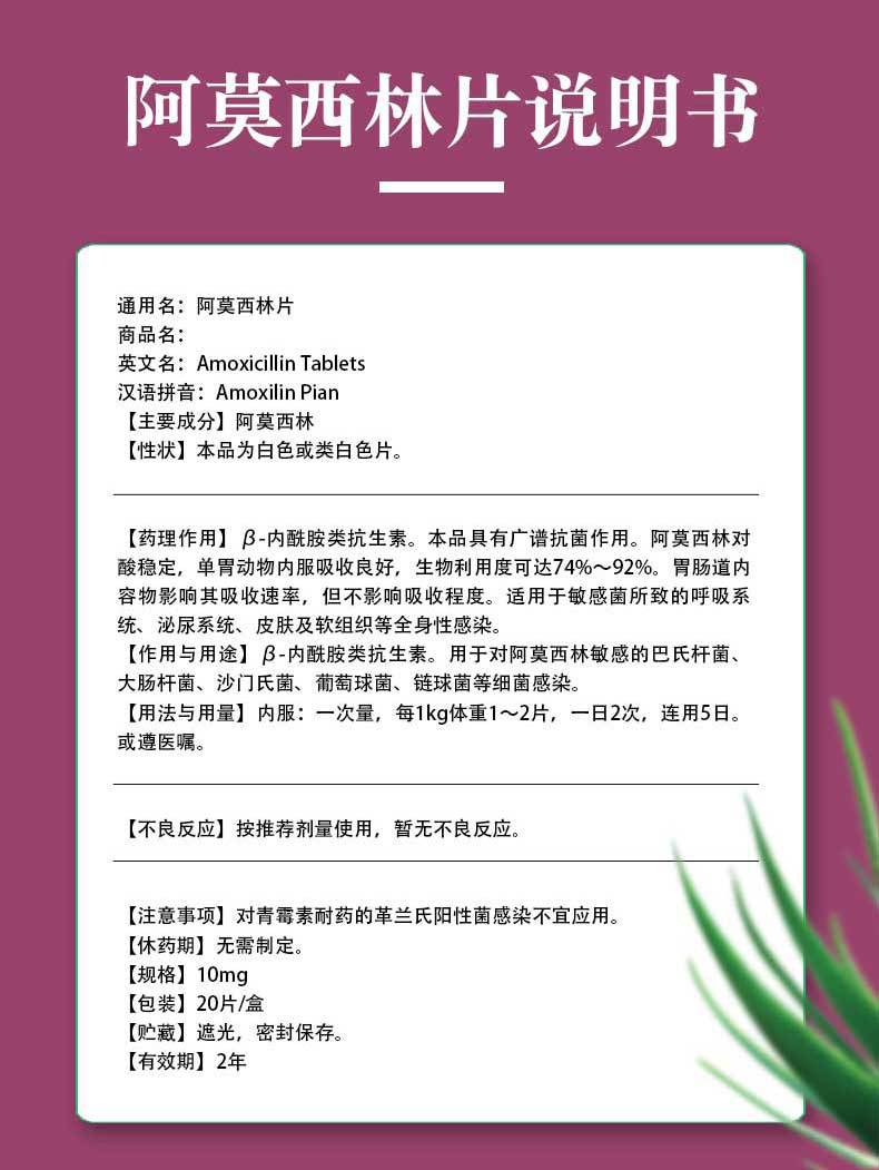 宠物药品狗狗猫咪感冒药尿路感染阿莫西林片口炎猫支鼻治疗消炎片