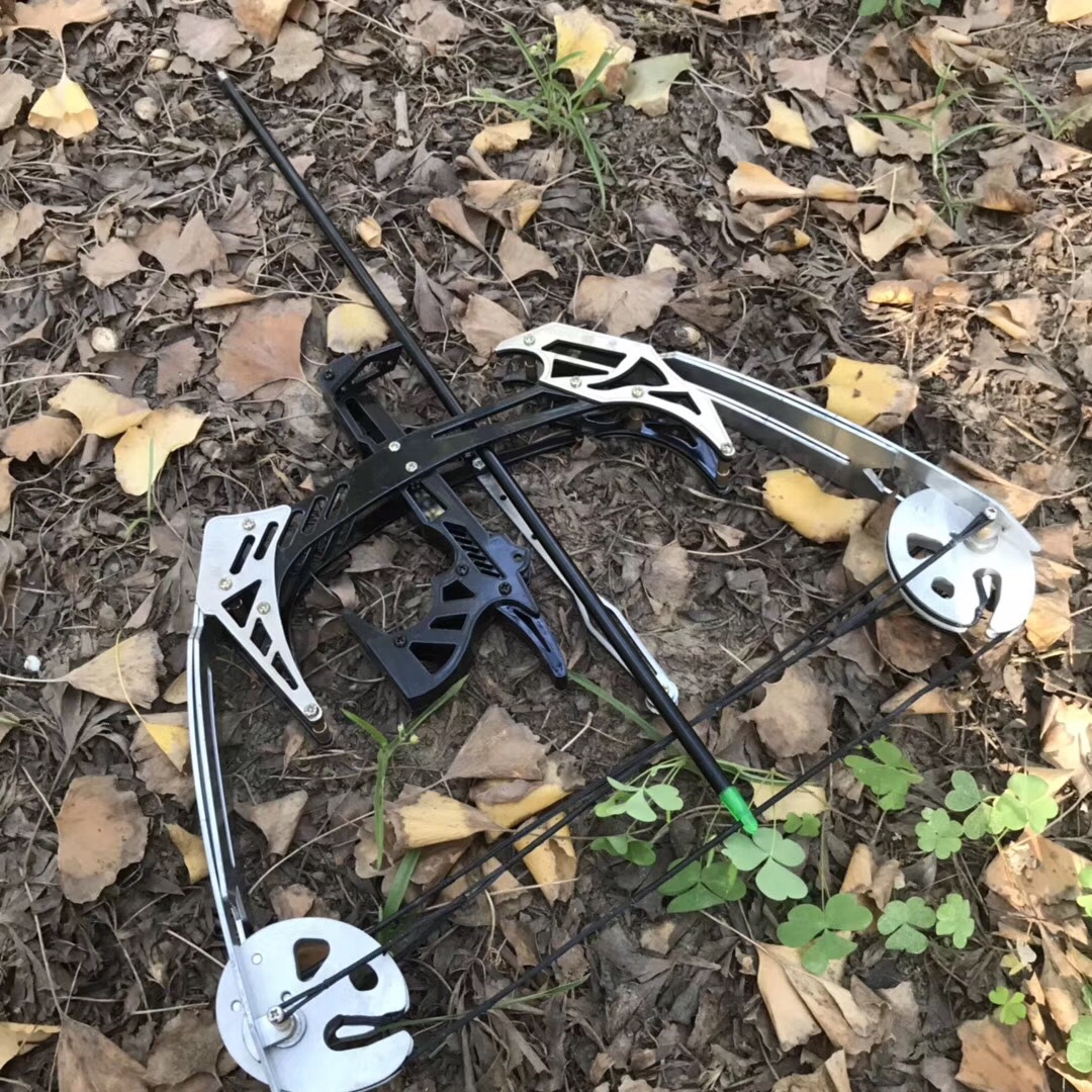 现货批发迷你鱼鹰复合滑轮弓箭户外射鱼套装小型射箭器材车载弓箭