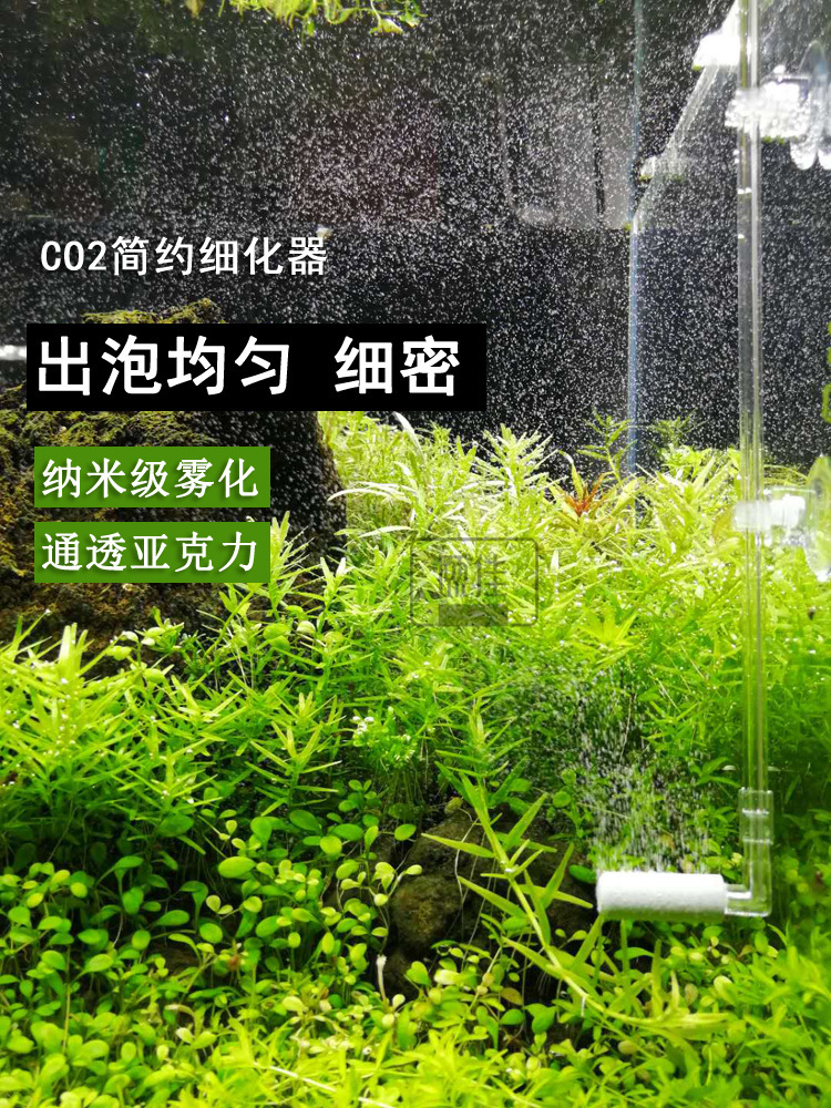 二氧化碳细化器 亚克力弯管 缸迷你细化器 简约细化器套装