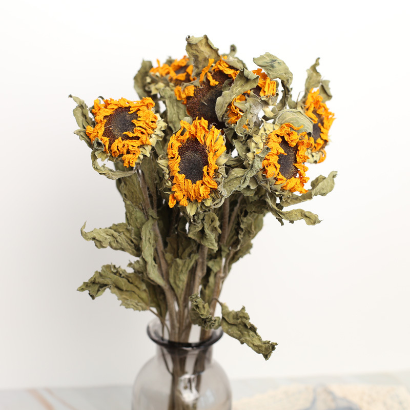 向日葵干花 太阳花 干花花束 插花diy花材 家居装饰 昆明直供