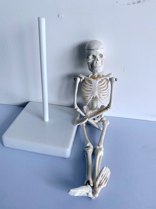 20cm小型人体骨骼 可拆装人体骨骼 小骨架 骷髅摆件 人体模型