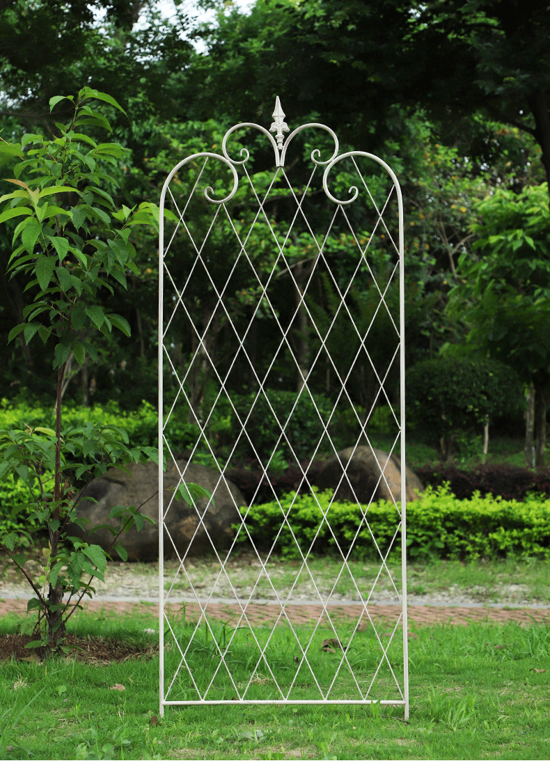 美式铁线莲爬藤花架铁艺网格屏风蔷薇支架欧式户外庭院园艺