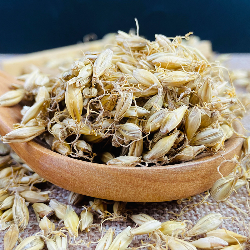中药材大麦芽 生麦芽 炒麦芽 大麦毛 全芽足干袋泡茶粉碎一件代发