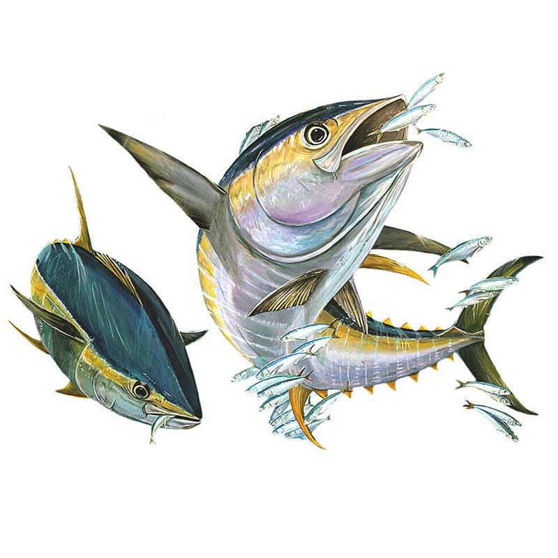 aliauto花黄鳍金枪鱼车贴大鱼吃小鱼系类乙烯基鱼贴车尾车窗装饰