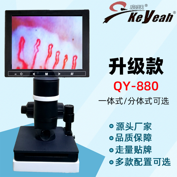 QY-880 QY-880 观察仪检测仪末梢显微镜