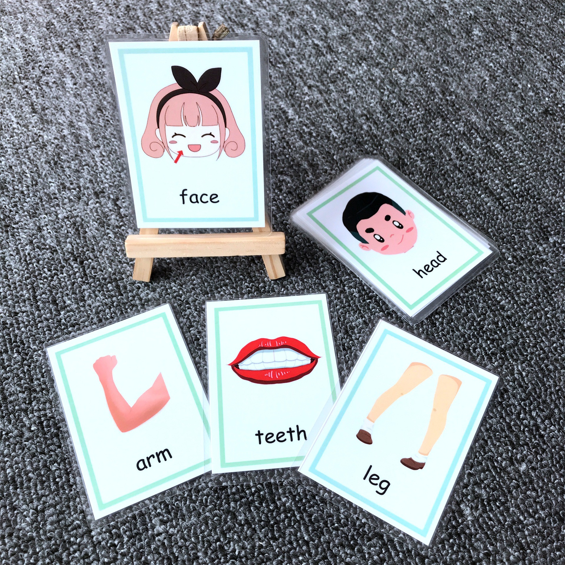 2款塑封防水身体部位英语主题学习闪卡片bodypartsflashcards