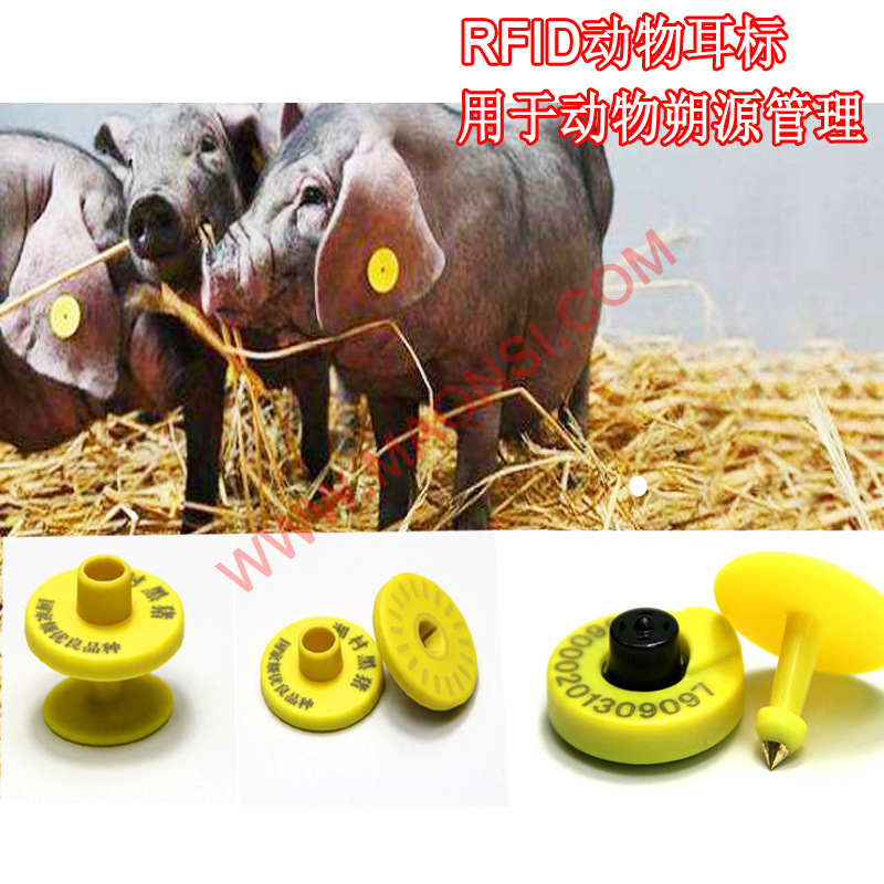 rfid动物耳标低频电子耳标动物格式em4305 tk4100 动物溯源猪耳标