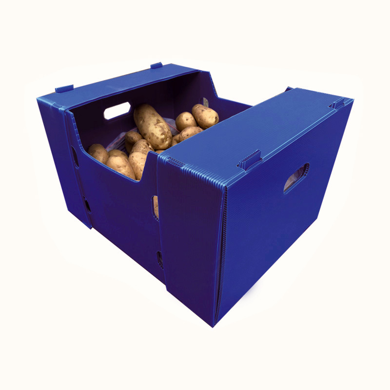 定制土豆周转箱 加厚仓库pp中空板包装箱 蔬菜中空板骨架箱厂家