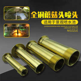 喷泉喷头鱼池水池蘑菇喷水头喷泉头鱼缸水景景观小型庭院户外假山