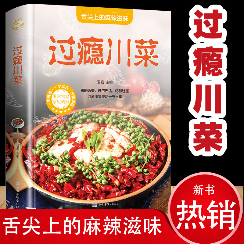 家常菜大全 过瘾川菜 中国传统美食书籍
