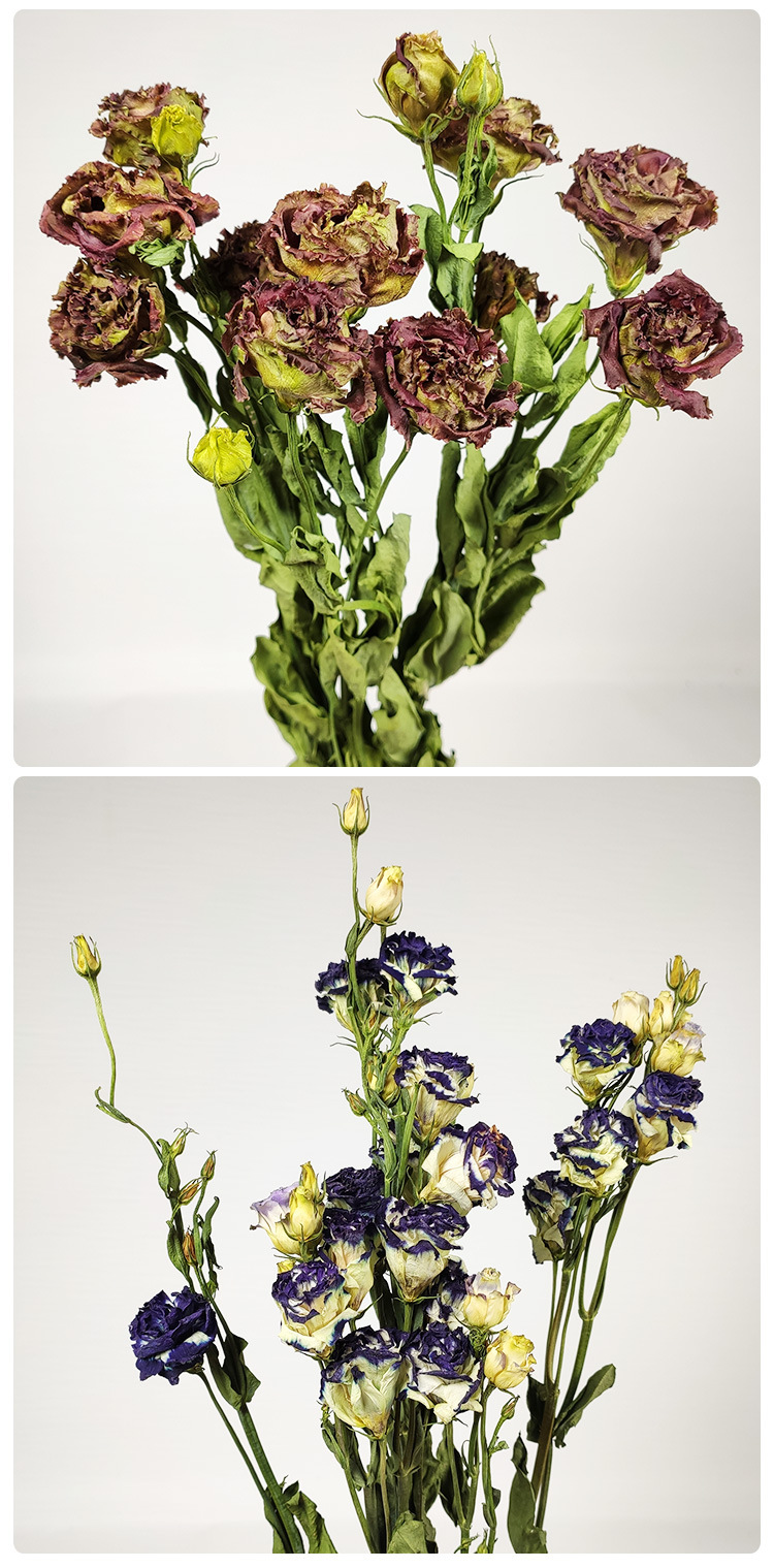 厂家直销洋桔梗干花花束 ins干花北欧批发乾燥花装饰干花客厅摆设