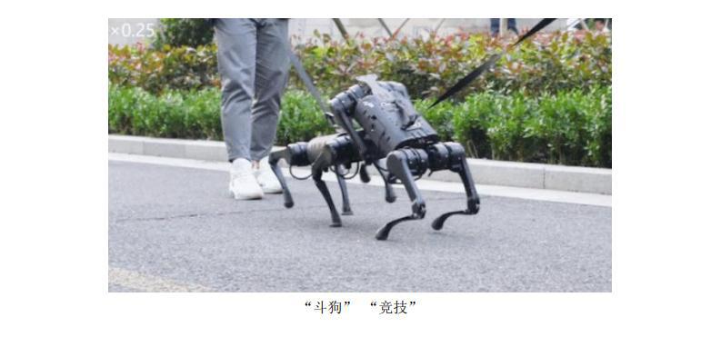 四足机器人爬行机械狗仿生爬行机器人四足爬行机械狗