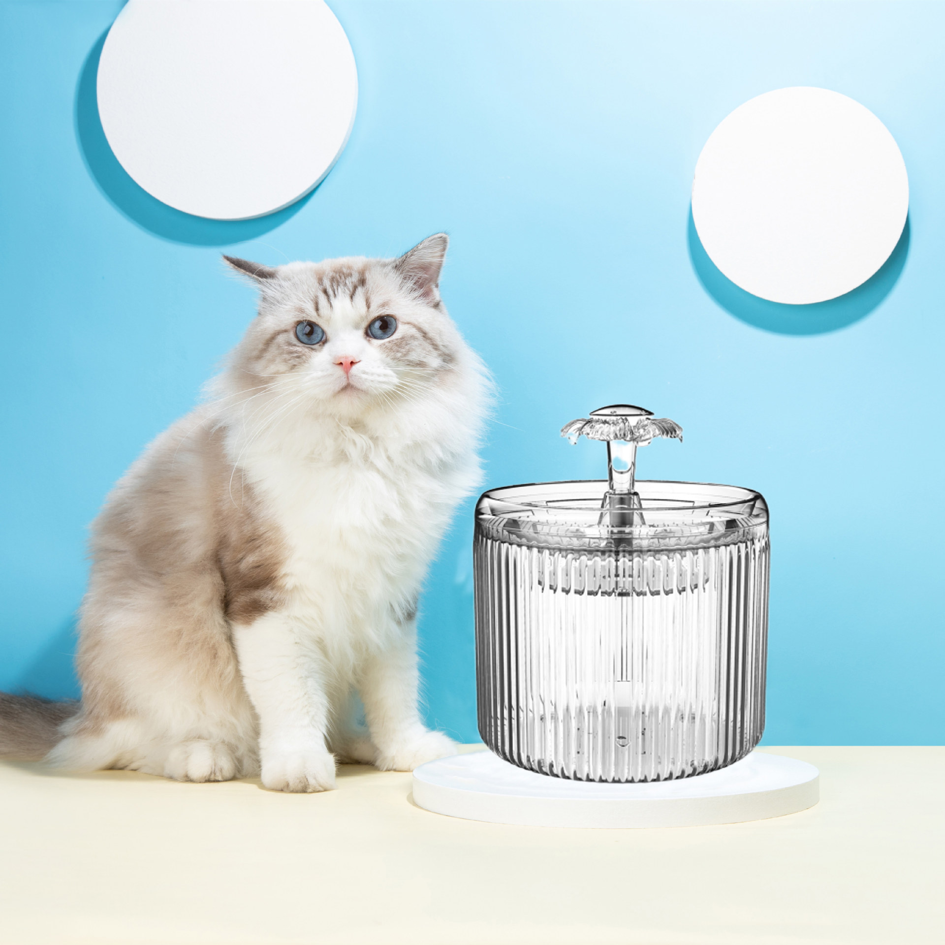 宠物饮水机自动循环电动喷泉猫咪饮水机流动恒温猫狗饮水器日用品