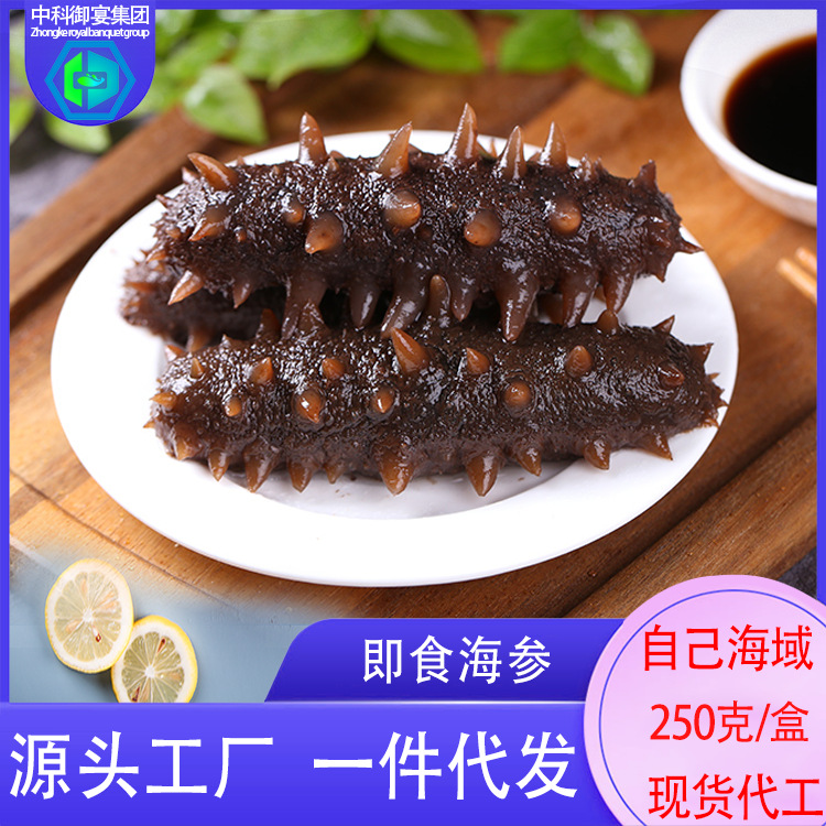 济世堂即食海参批发大连刺参大连海参批发可代发贴牌加工