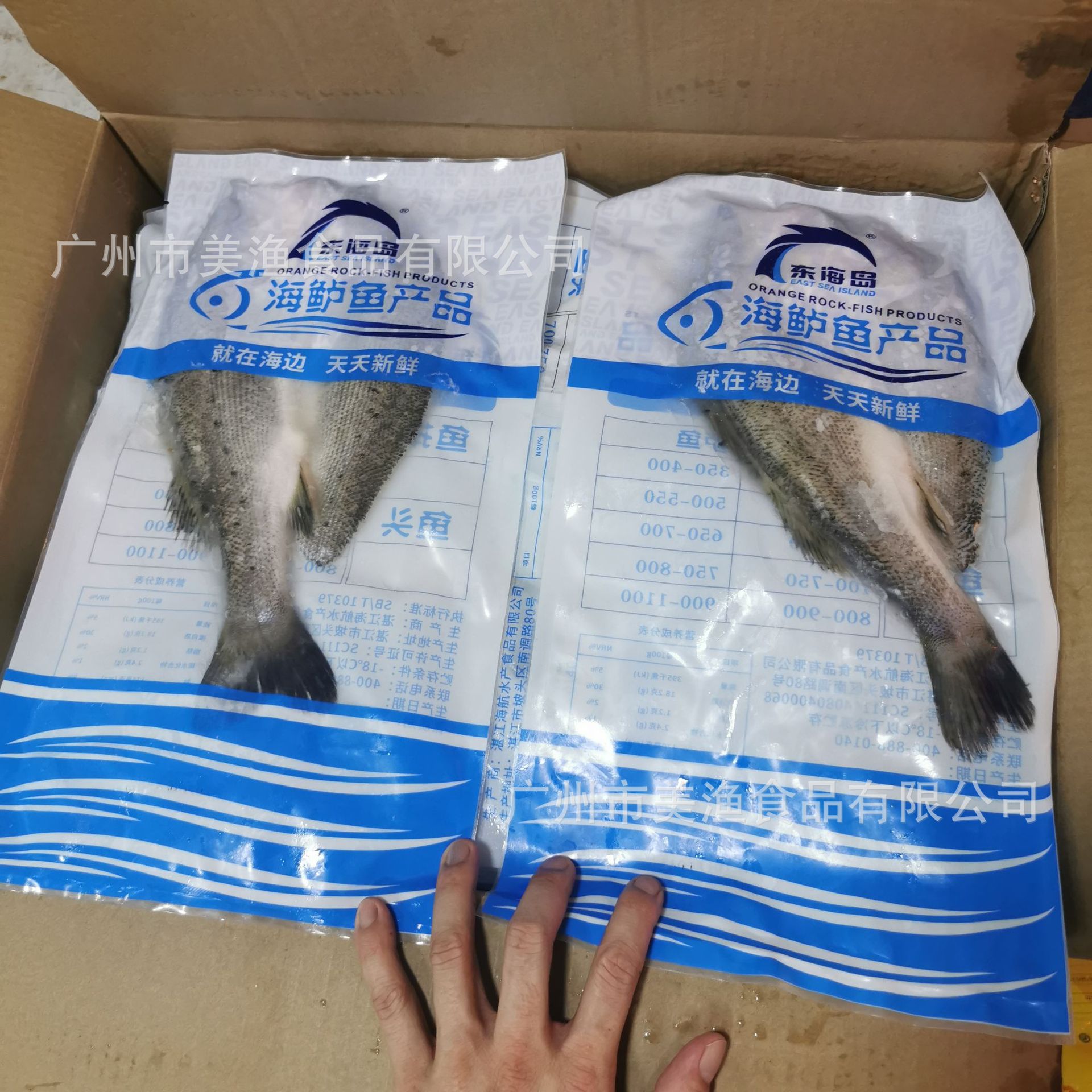 冷冻开背海鲈鱼真空三去海鲈鱼香煎鱼 速冻开边海鱼 350g-400g/条