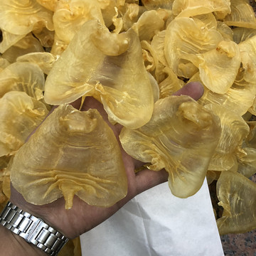 鱼胶巴西北海公胶25头花胶足干礼盒装鳘鱼胶滋补一件代发批发