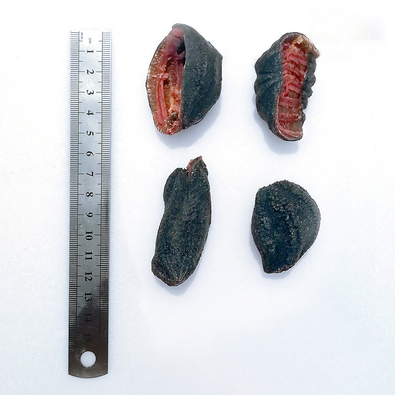 加拿大海参皮淡干冰岛红极参俄罗斯淡干海参皮约35头250g批发