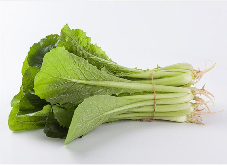 绿冠青帮小白菜种子四季播青菜种籽春夏秋冬四季阳台盆栽蔬菜种孑