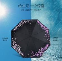 折叠雨水开花防晒防紫外线遮阳男女黑胶晴雨两用迷你雨伞