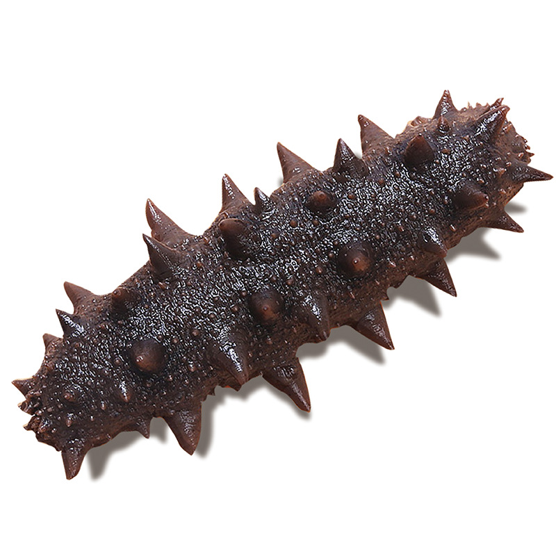 即食海参冷冻水产参灵岛海参大连海鲜刺参中科水产工厂家批发