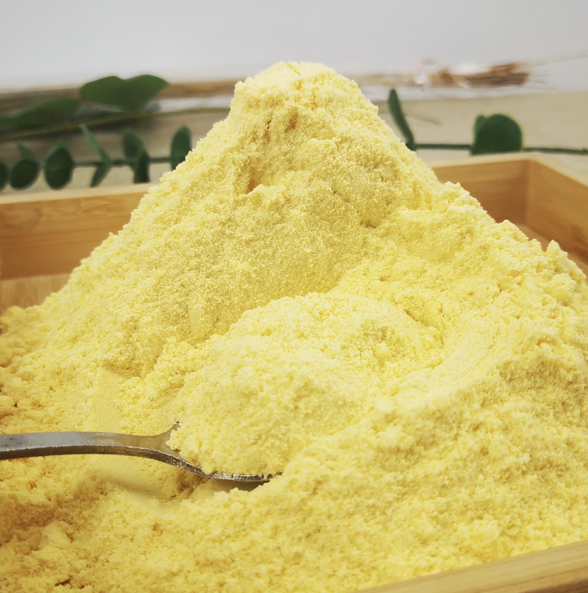 蜀山湖脱胚玉米粉 现货供应农家玉米原料杂粮 黄金粉饺子窝窝头粉