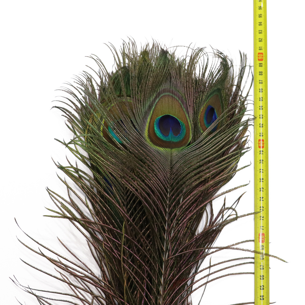 批发天然孔雀毛大眼睛插花工艺品孔雀翎羽可订染头饰配件辅料羽毛