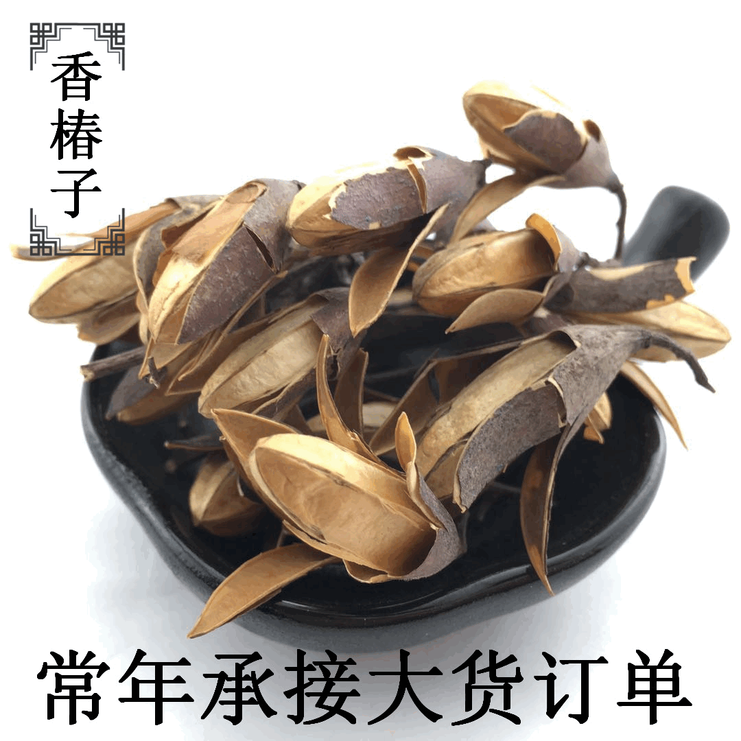 批发香椿子响铃子香椿子椿树子干花工艺品原料k