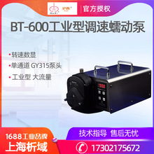 上海青浦沪西BT-600工业型调速恒流泵单通道数显恒流泵