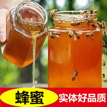 土蜂蜜500g瓶装农家液态蜂蜜批发 百花蜜罐装oem礼品定制支持代发