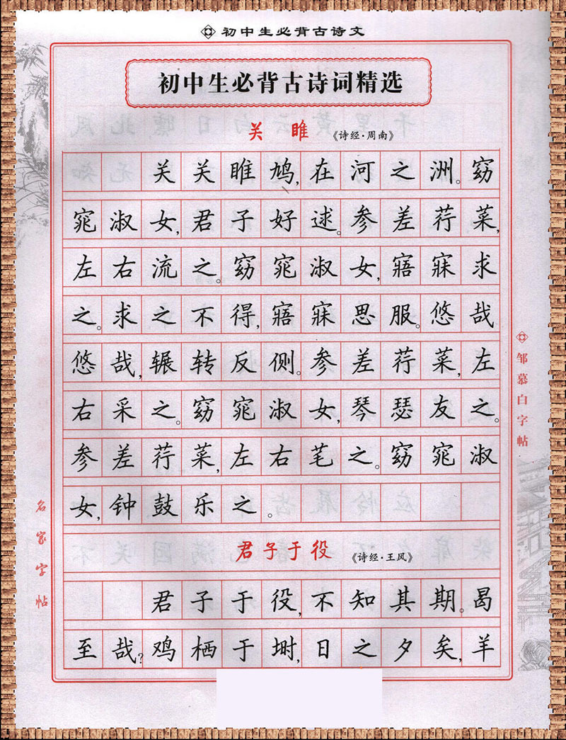 学生练字/硬笔/钢笔字帖 初中必背古诗文(楷书)邹慕白正楷正版