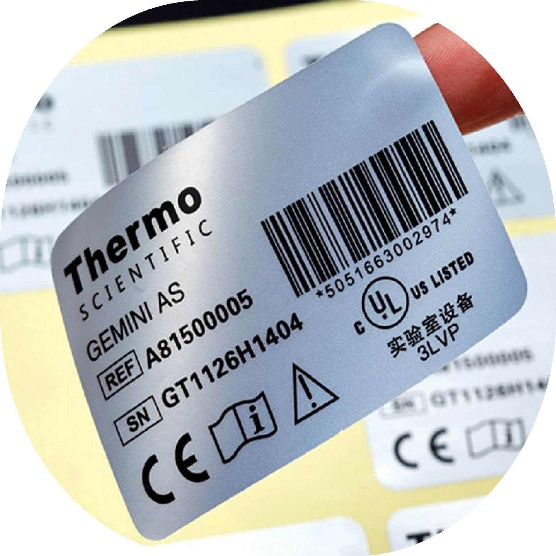 天津厂家专业定做彩色透明不干胶 pvc透明不干胶 防水标签不干胶