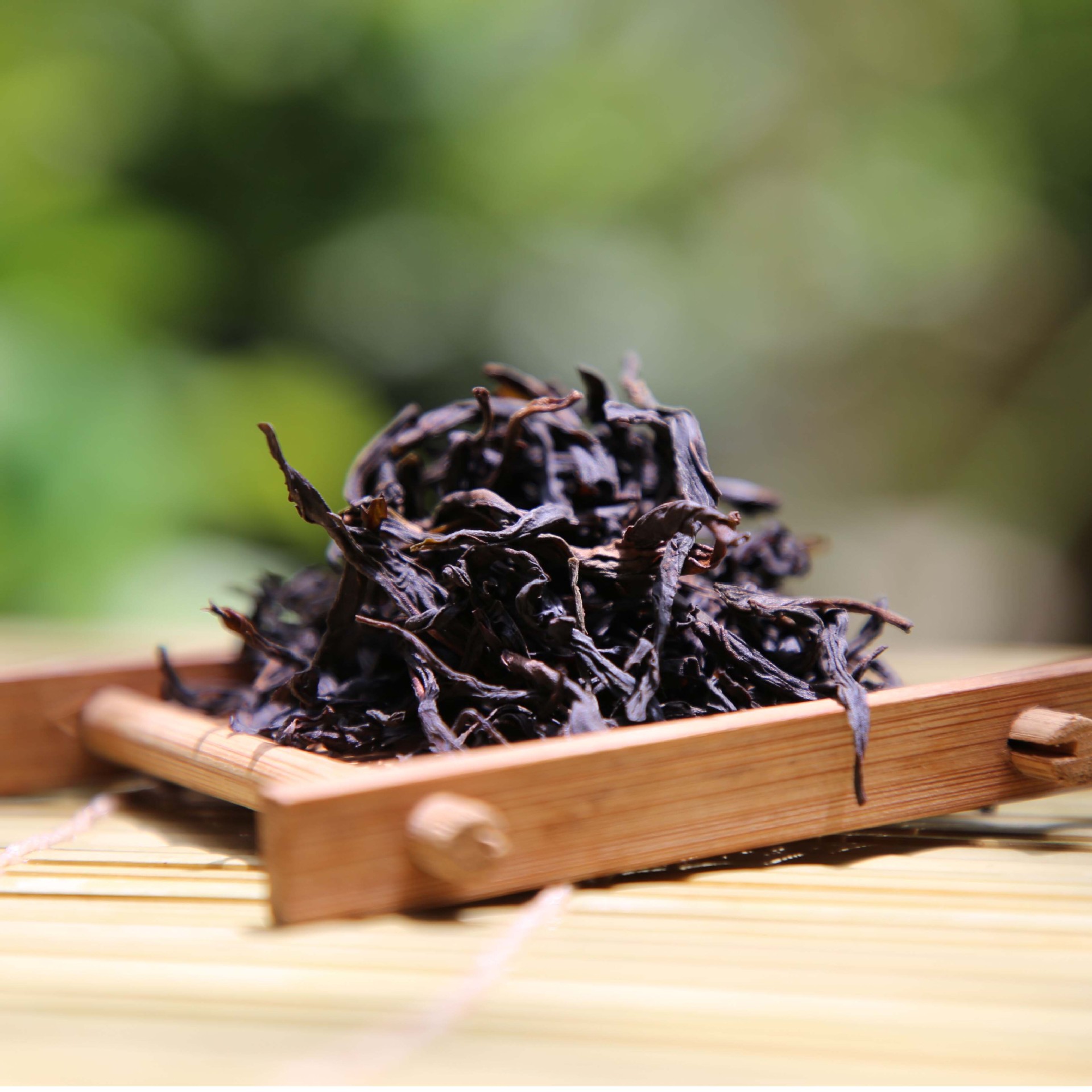 大乌叶凤凰单丛乌龙茶送礼高山茶叶清香乌岽单丛茶叶散装新茶批发