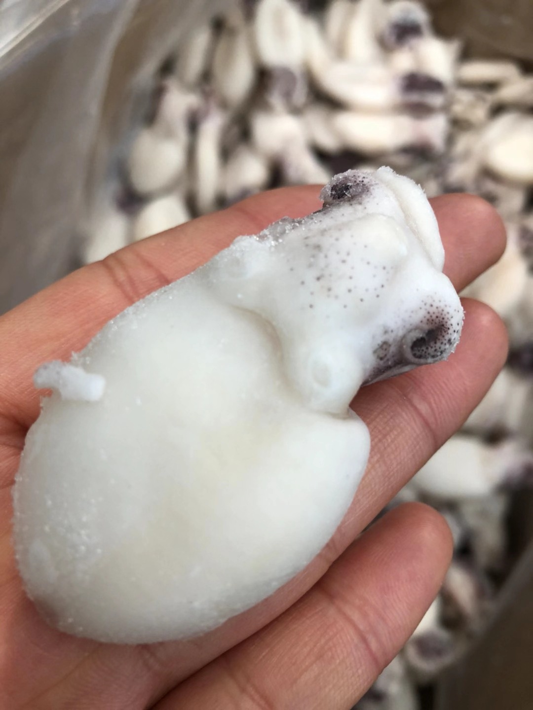 批发去脏冷冻墨鱼仔干冰熟冻2斤装 火锅食材夜市餐饮酒店外卖