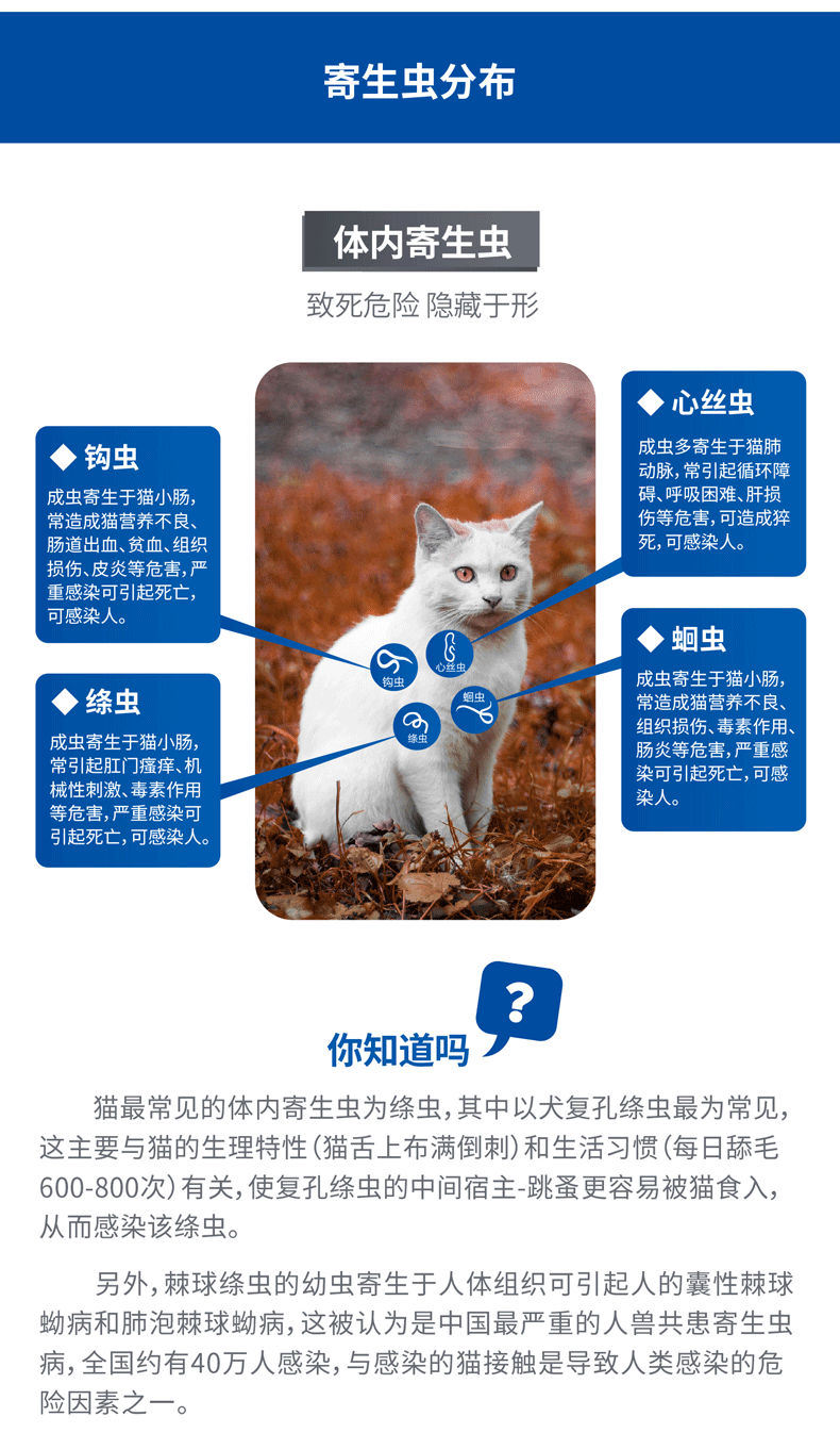 海乐妙体内驱虫药幼猫体内外一体去跳蚤耳螨猫咪吡喹酮打虫药10粒