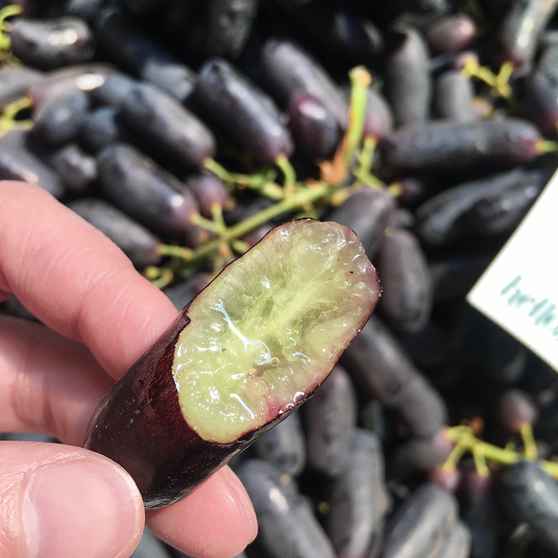 2斤可包邮 澳洲金手指拇指指葡萄黑提美人黑手指无籽提子-阿里巴巴