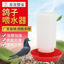 厂家供应鸟饮水器鸽子饮水器养鸽子用品鸽子水碗规格齐全性价比高