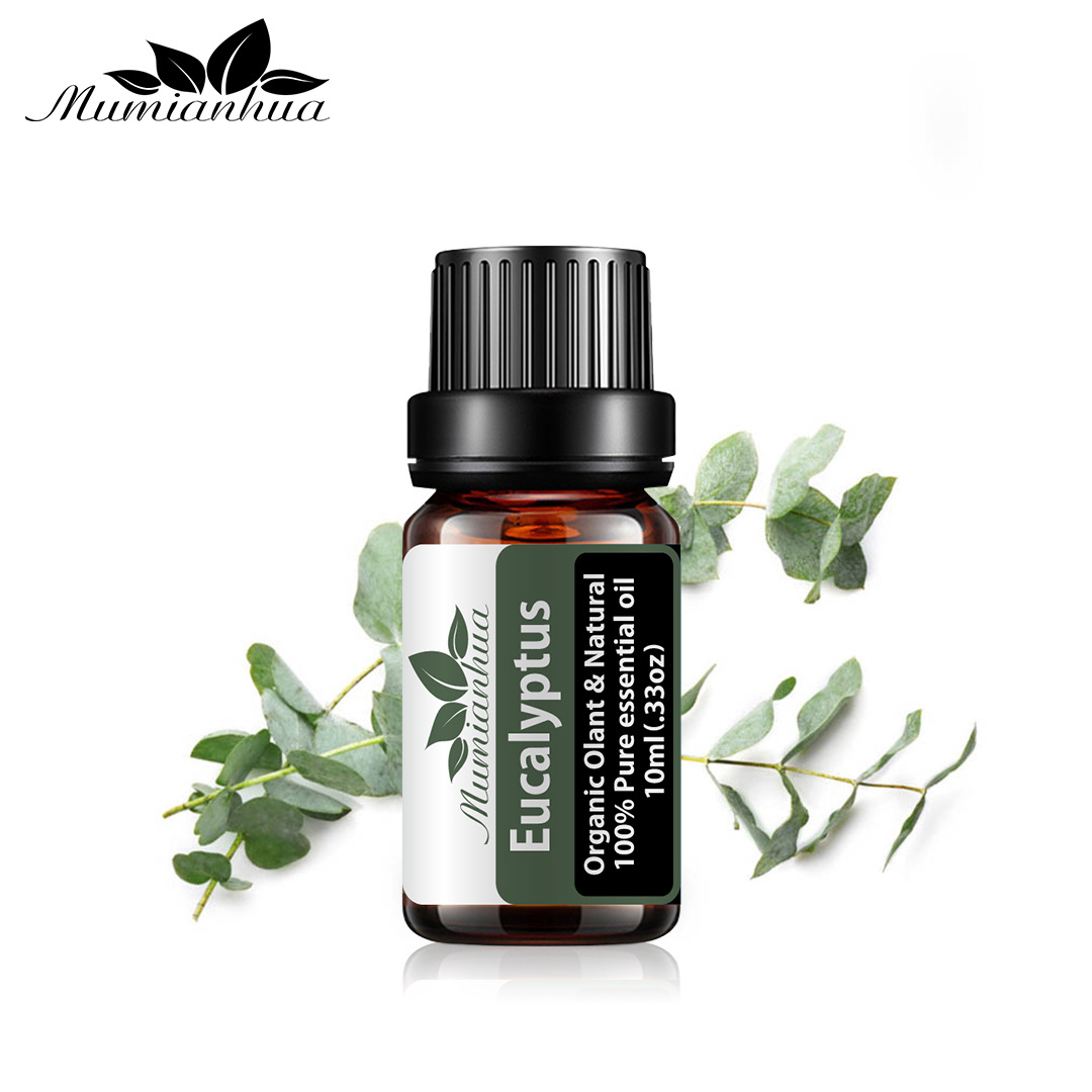 植物单方尤加利精油桉树按摩香薰 蚊虫精油 oem贴牌 eucalyptus