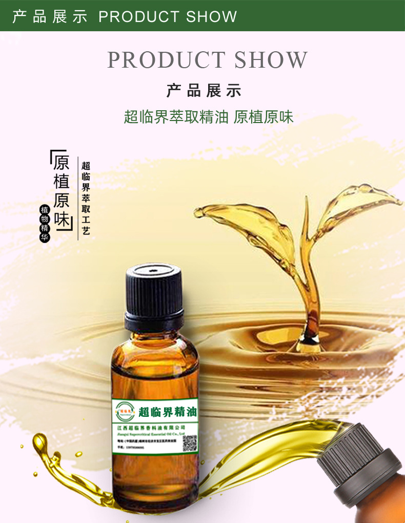 厂家直供 羌活精油 超临界萃取中药材精油 按摩精油 大货议价