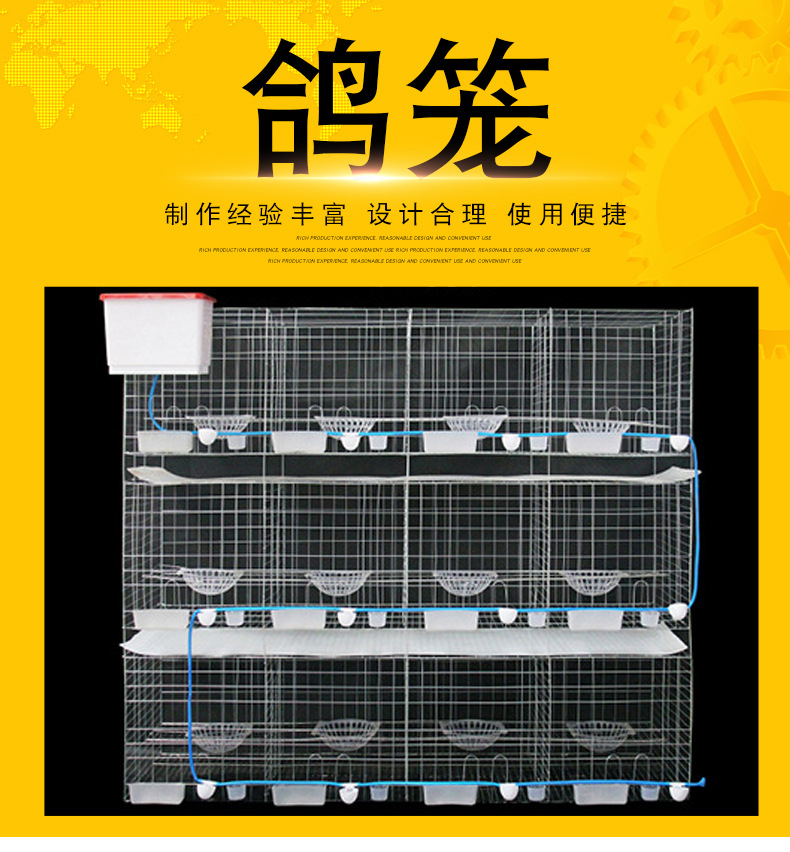【鸽笼】防锈养殖专用镀锌铁丝鸽笼繁殖配对笼具多规格鸽笼批发