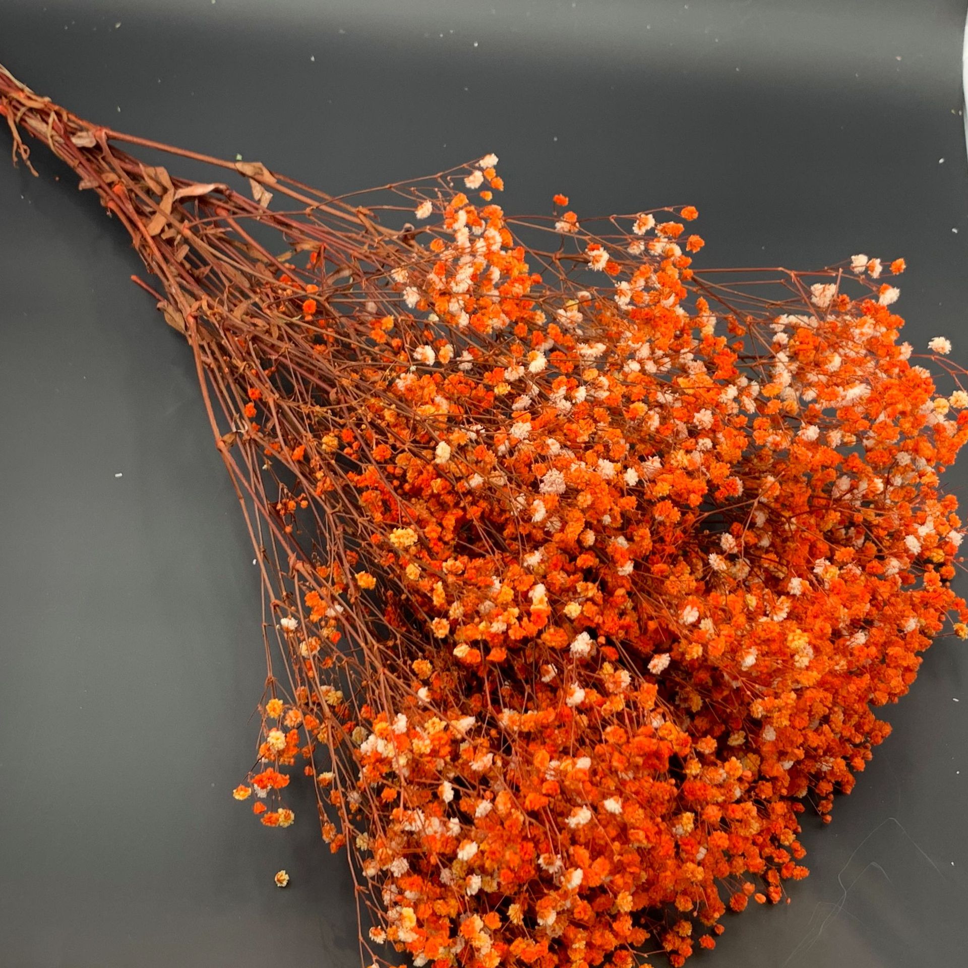 厂家花农 满天星 永生满天星插花花艺家居装饰婚庆节日送礼