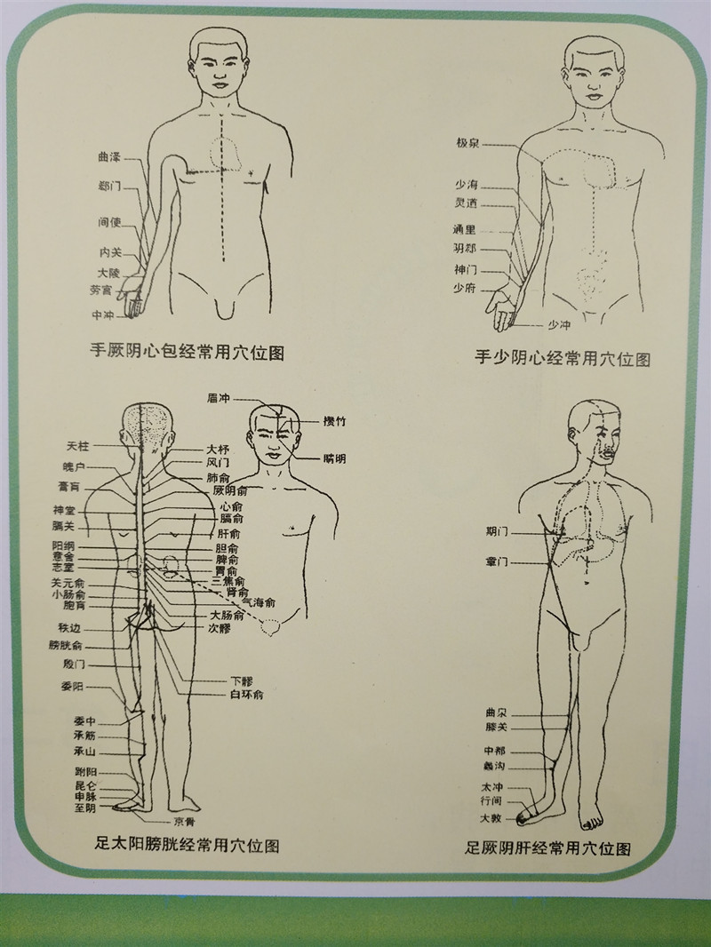 刮痧对照表 图解图片