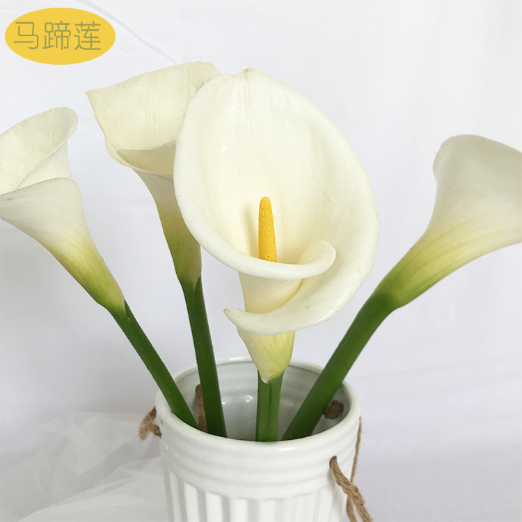马蹄莲云南鲜切花直邮淘宝货源一件代发昆明鲜花马蹄莲花束