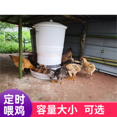 养鸡全自动定时喂鸡器投料机神器喂食器鸭鹅投放器养殖户外鸡舍