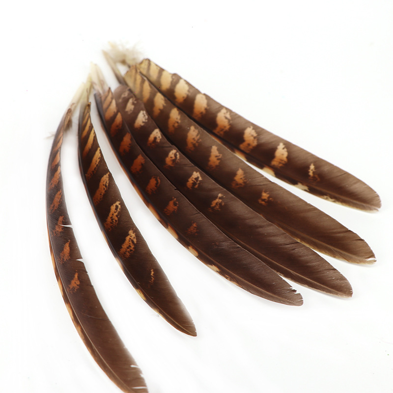 厂家批发优质野禽刀翎翅膀羽毛扇子15-22cm箭羽纹路饰品配饰