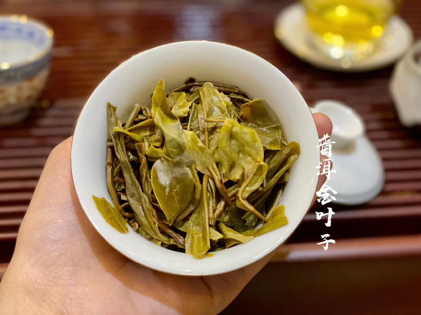 批发 新款 黄金叶普洱茶生茶 勐海茶区 散装500克 大树金叶子茶