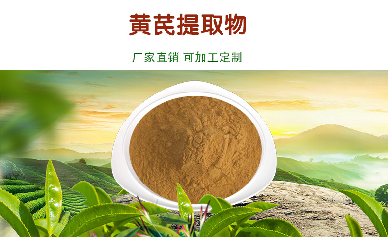 10%含量 黄芪甲苷 黄芪提取物 sc厂家 黄芪甲苷多规格 100g小包装