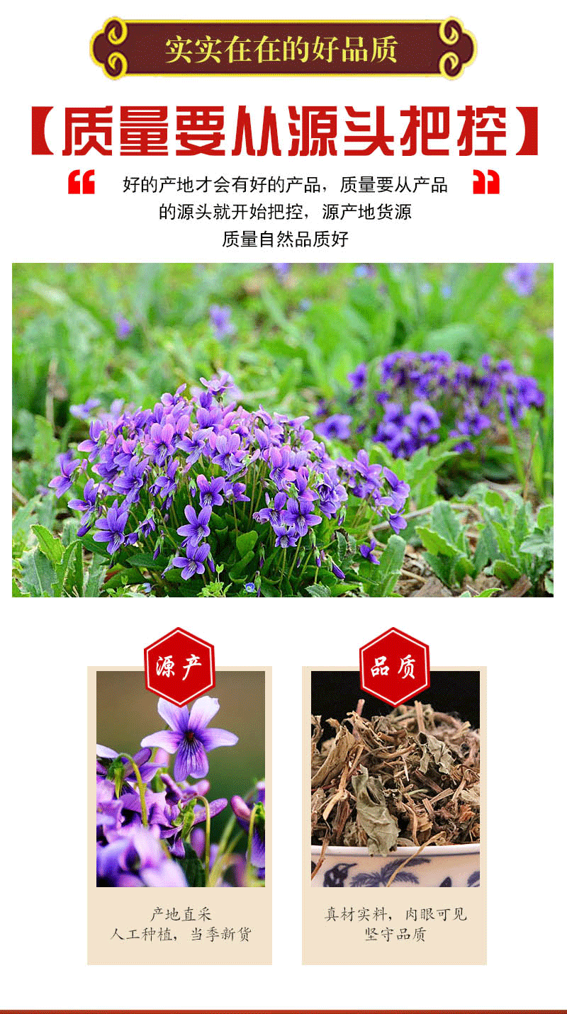 中药材 紫花地丁 草苦地丁草 铧头草 光瓣堇菜犁头草 农副产品