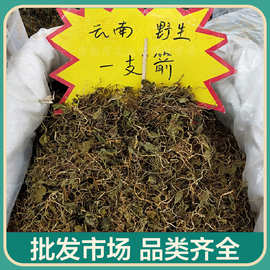云南一枝箭中药材药一支箭新鲜货青藤蛇咬子500克 一件代发
