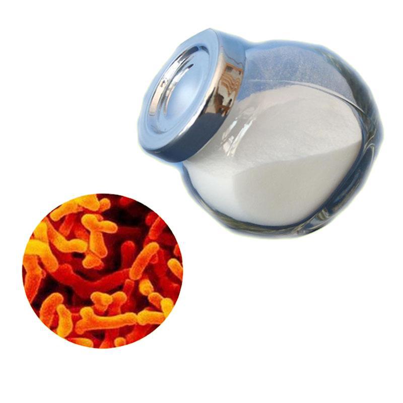 供应食品级青春双歧杆菌 100亿/g量大有优惠