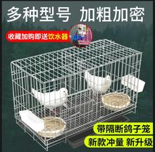 鸽子笼子家用养殖笼折叠配对笼鸽子用品用具繁殖鸽笼加密鸽笼鸟笼